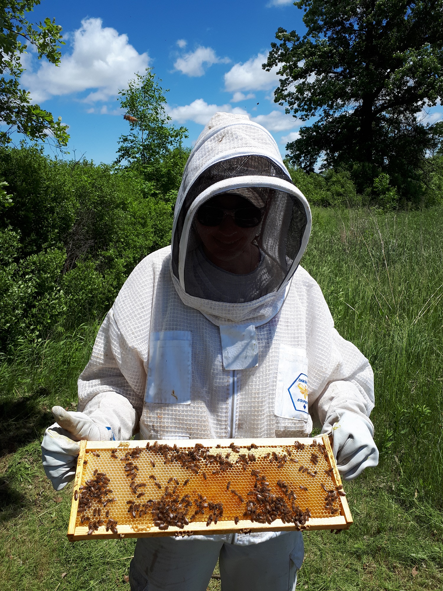 beekeeper holding honeycomb slat